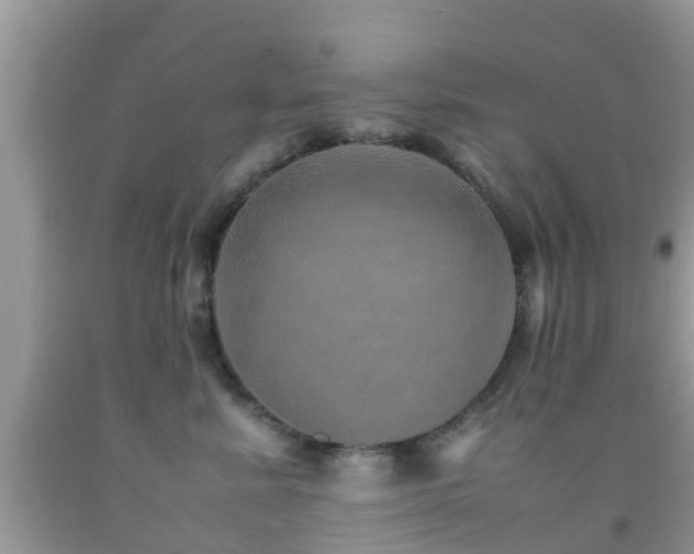 X0000091960619200709061303