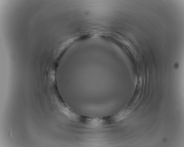 X0000091960621200709061303