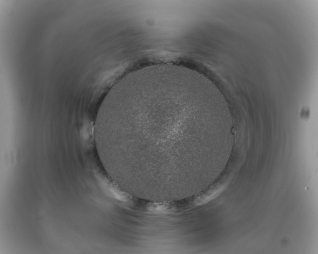 X0000091960624200709061303