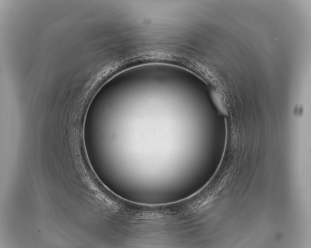 X0000091960625200709061302