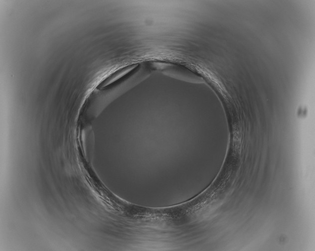 X0000091960626200709061302