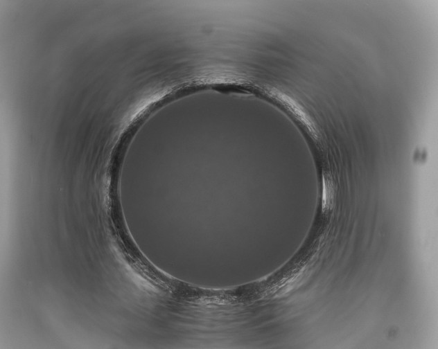 X0000091960627200709061302