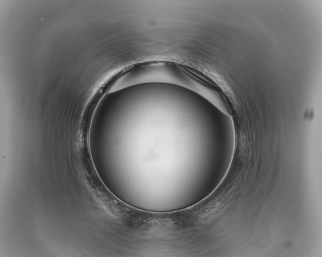 X0000091960628200709061302