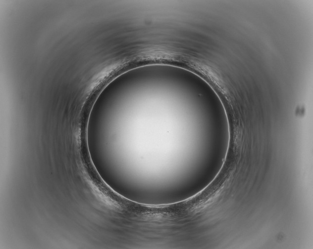 X0000091960629200709061302