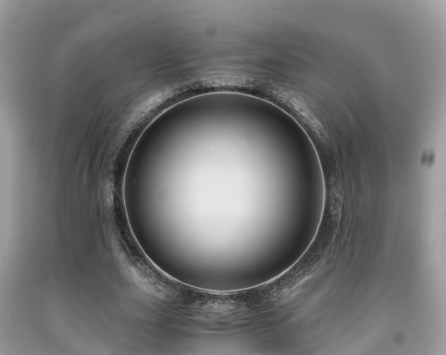 X0000091960631200709061302