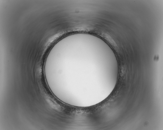 X0000091960632200709061302