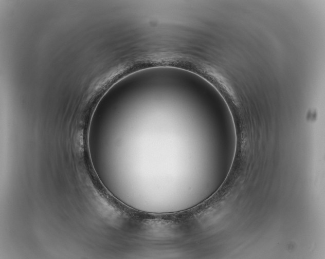 X0000091960633200709061302