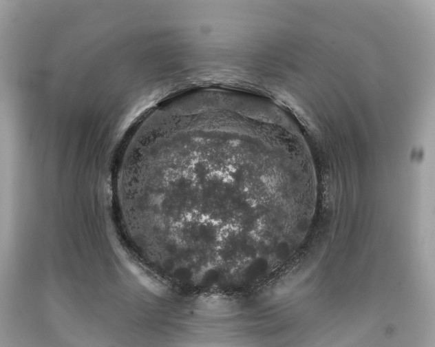 X0000091960634200709061302