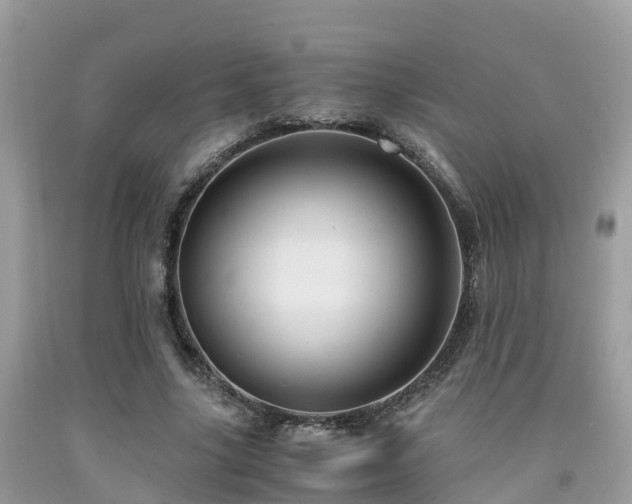 X0000091960635200709061302