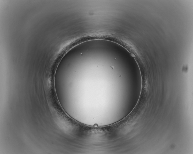 X0000091960636200709061302