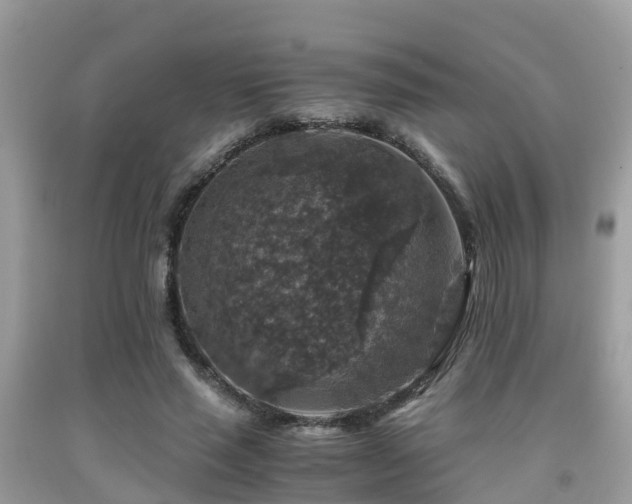 X0000091960637200709061302