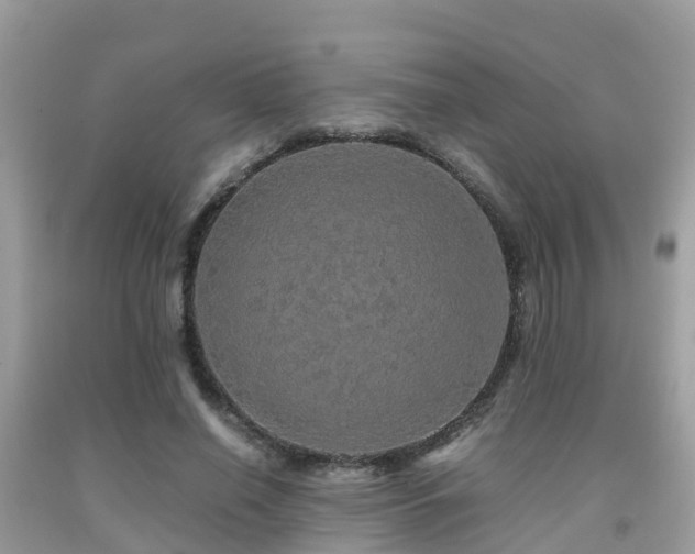 X0000091960638200709061302