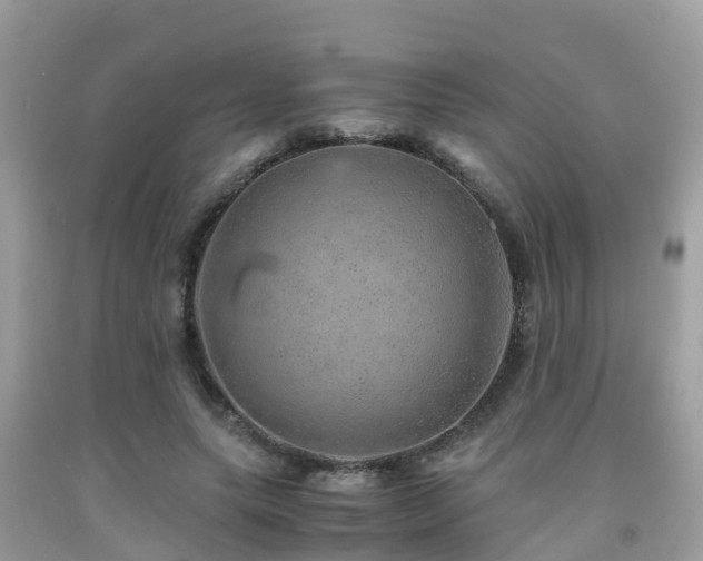 X0000091960639200709061302