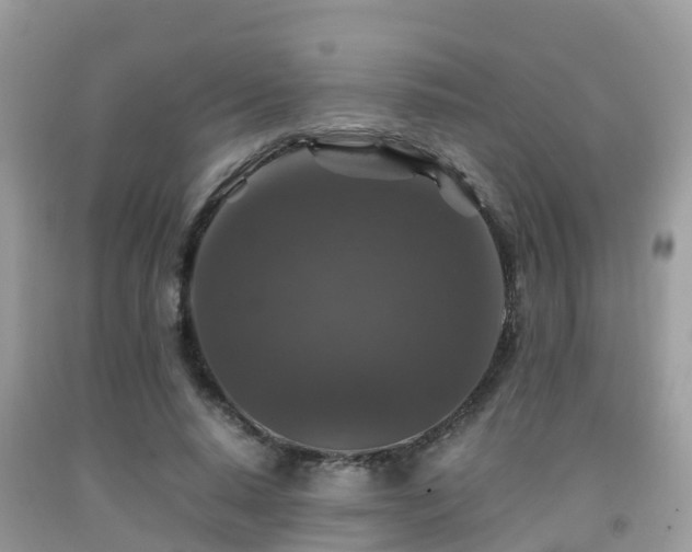 X0000091960640200709061302