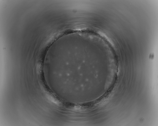 X0000091960641200709061302