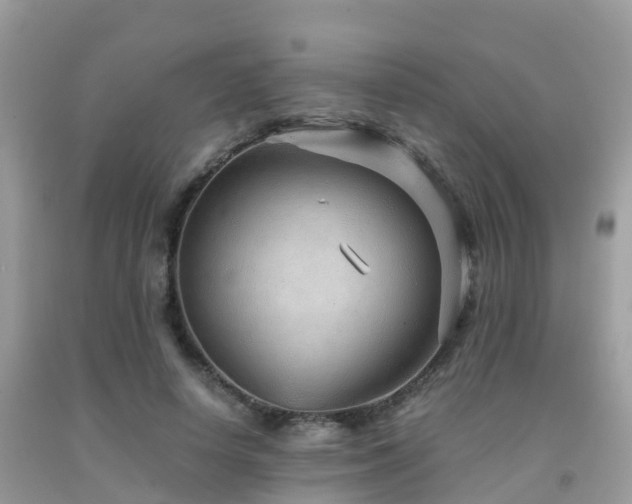 X0000091960642200709061302