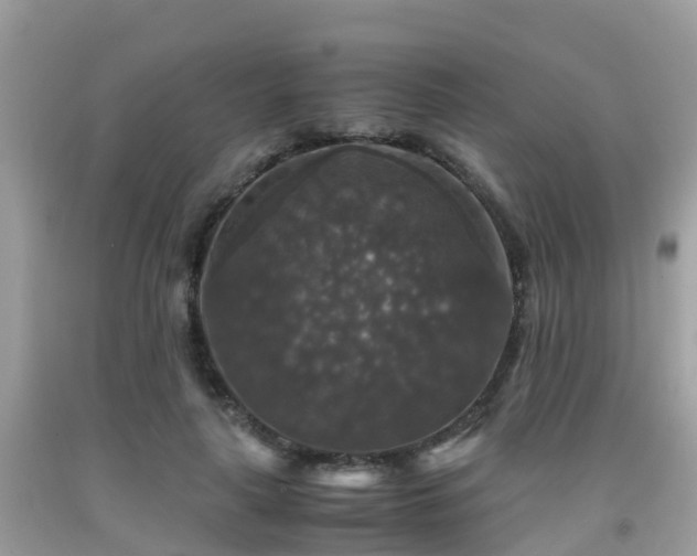 X0000091960643200709061302