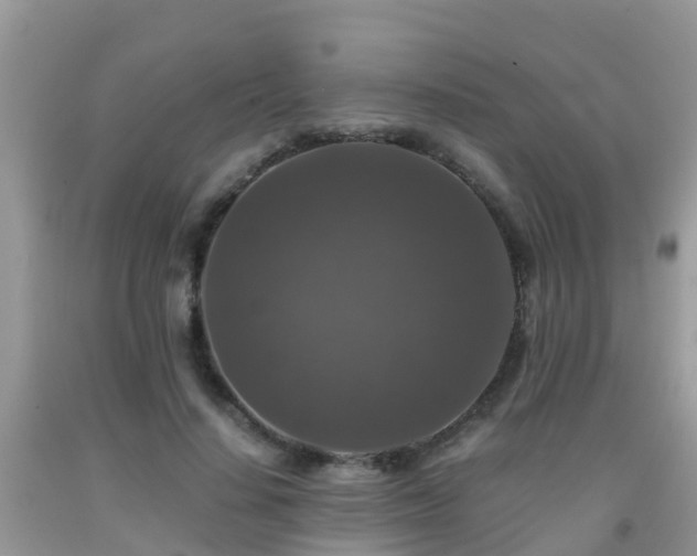 X0000091960644200709061302