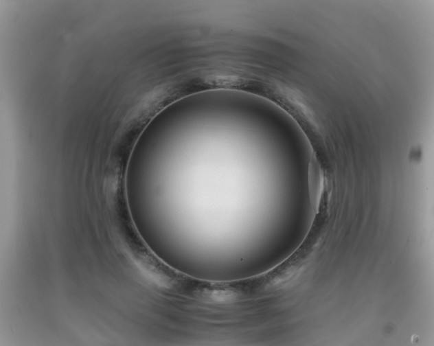 X0000091960645200709061302