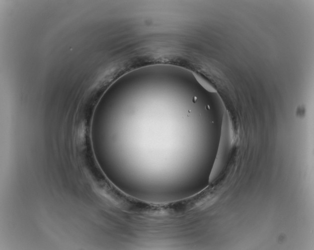 X0000091960646200709061302