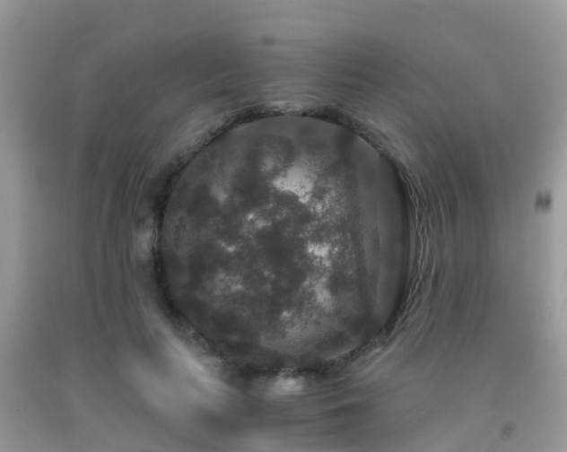 X0000091960647200709061302