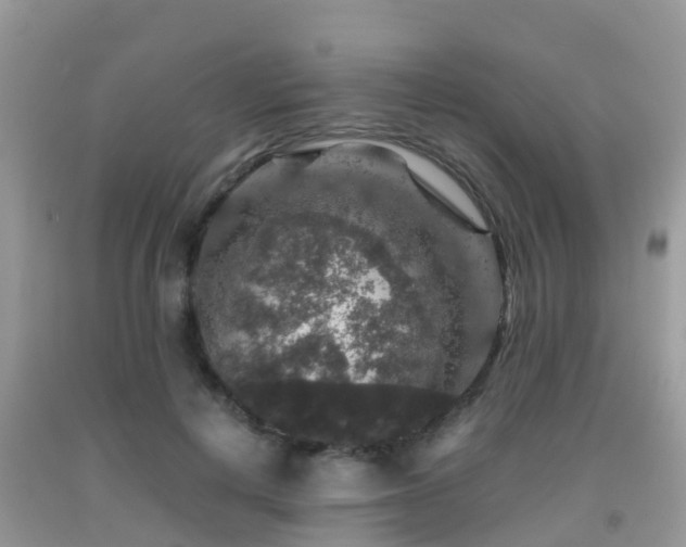 X0000091960648200709061302