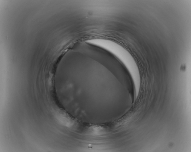 X0000091960650200709061302