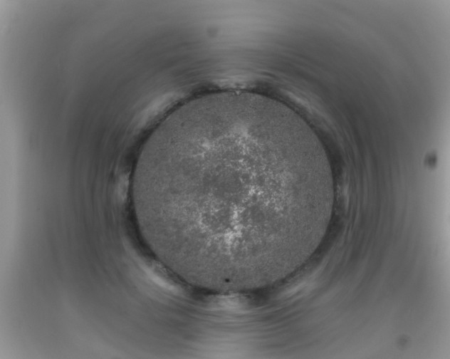 X0000091960652200709061302