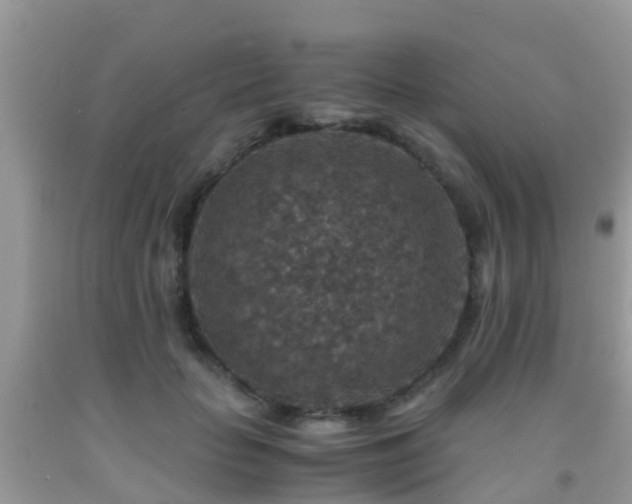 X0000091960653200709061302