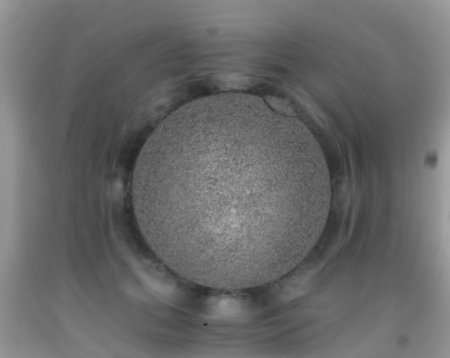 X0000091960655200709061302