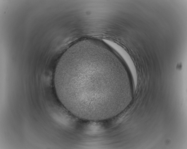 X0000091960656200709061303