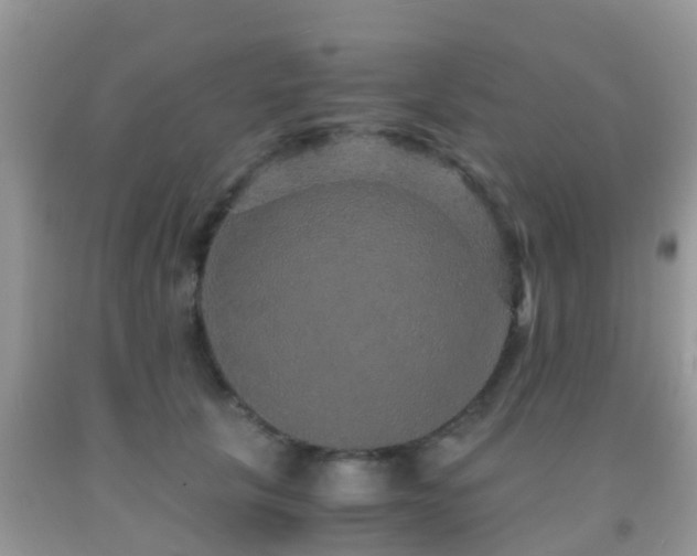 X0000091960657200709061303