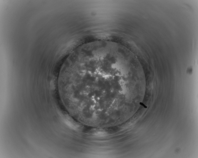 X0000091960658200709061303