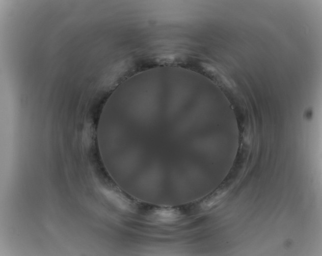 X0000091960659200709061303