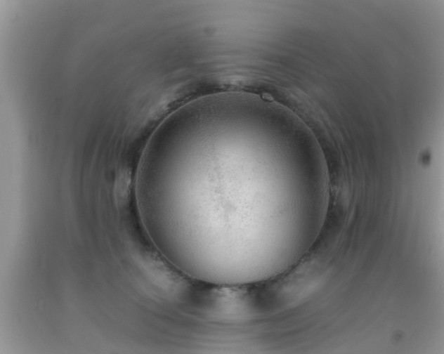 X0000091960660200709061303