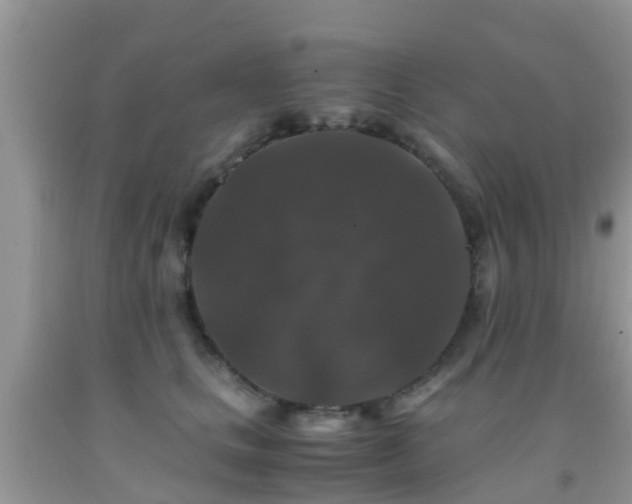 X0000091960661200709061303