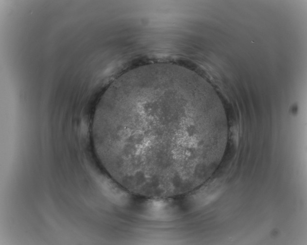 X0000091960662200709061303