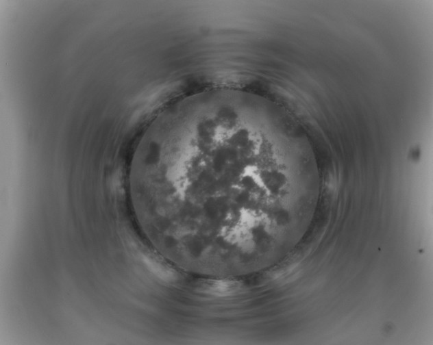 X0000091960663200709061303