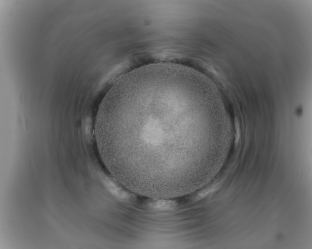 X0000091960670200709061303