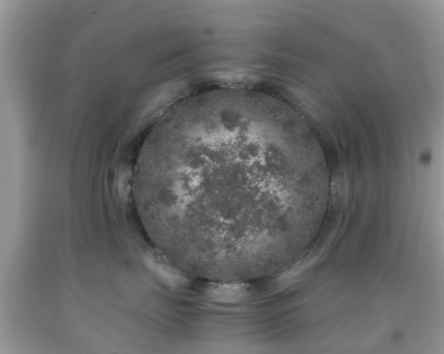 X0000091960671200709061303