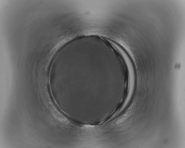 X0000091960673200709061302