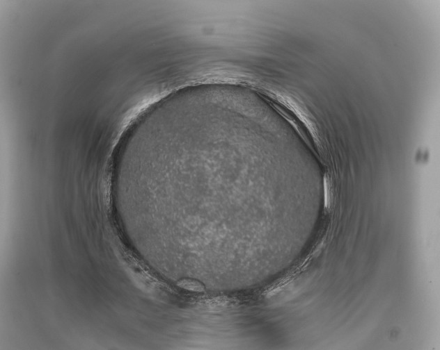 X0000091960675200709061302