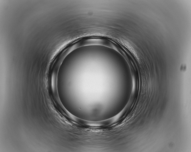 X0000091960676200709061302