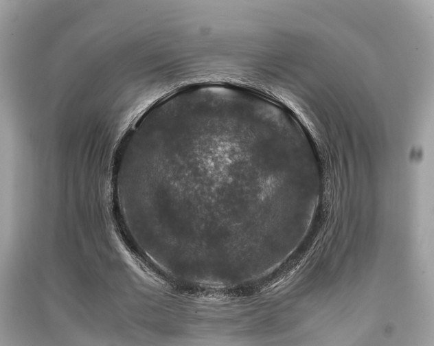 X0000091960677200709061302