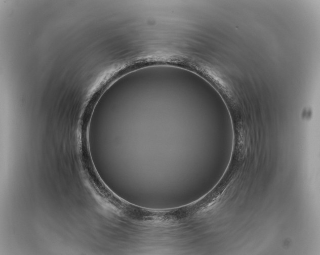 X0000091960678200709061302