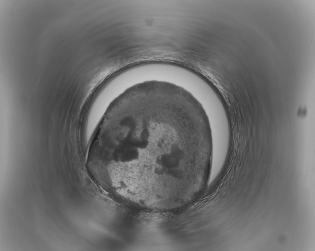 X0000091960679200709061302