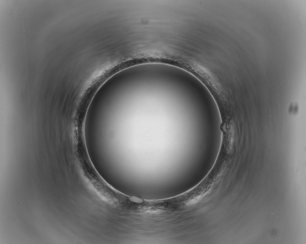 X0000091960680200709061302