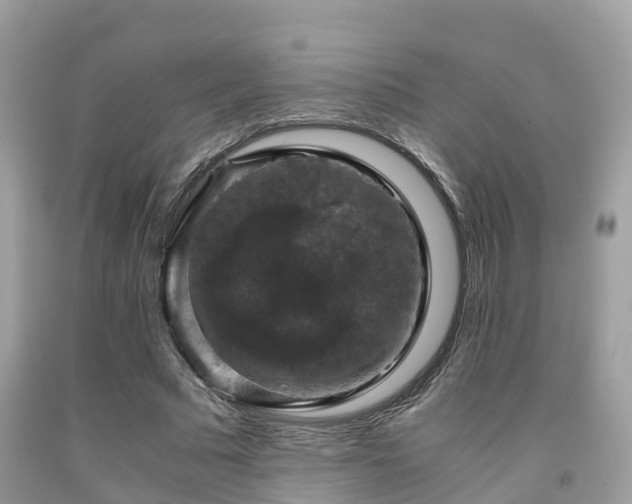 X0000091960681200709061302