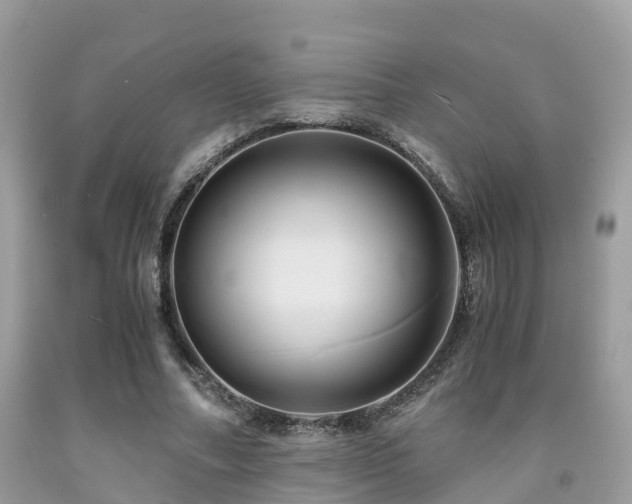 X0000091960682200709061302