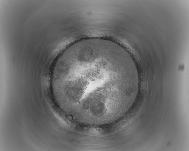 X0000091960683200709061302